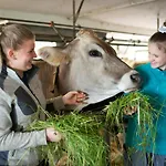 Agroturismo Riemenerhof