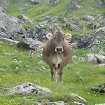 Agroturismo Riemenerhof *