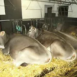Farma Riemenerhof