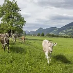 Agroturismo Riemenerhof Fügen