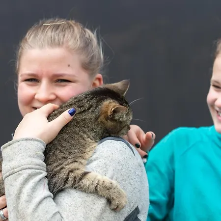 Riemenerhof 农家乐