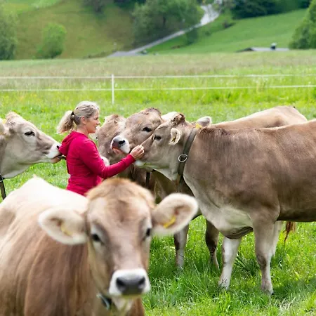 Riemenerhof * 菲根