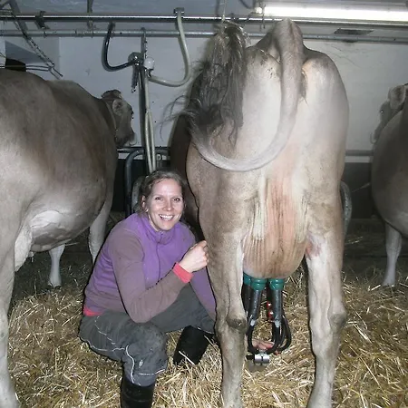 农家乐 Riemenerhof