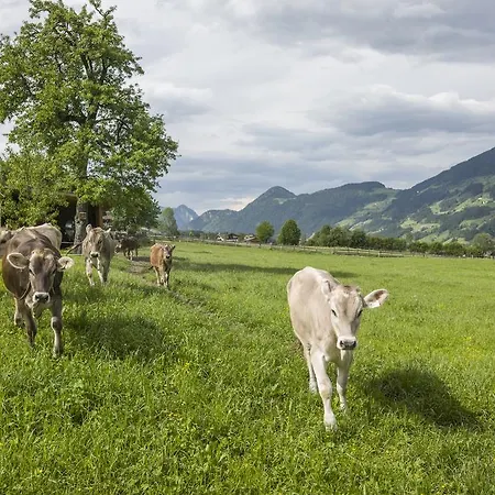 农家乐 Riemenerhof 菲根