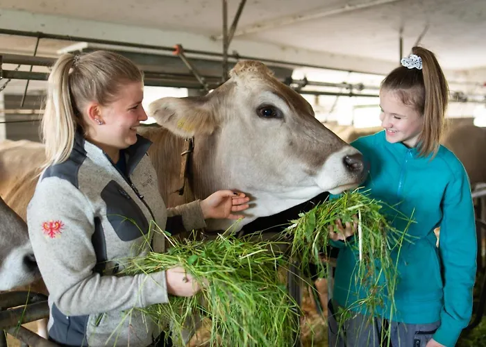 Farm stay Riemenerhof