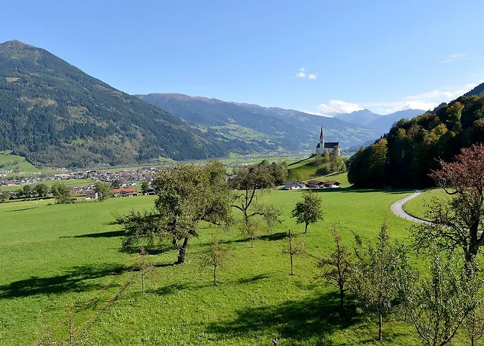 ريمينيرهوف فغن