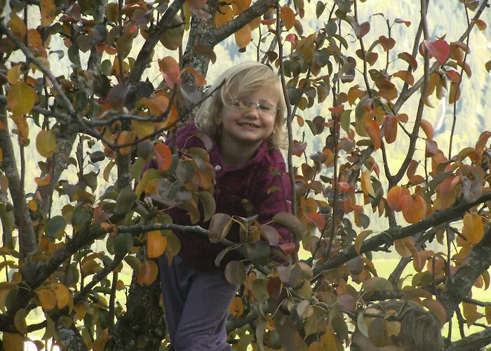 ريمينيرهوف