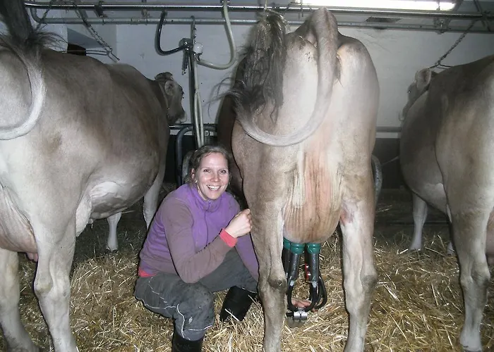 Farm stay Riemenerhof
