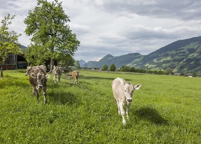 Farm stay Riemenerhof Fuegen
