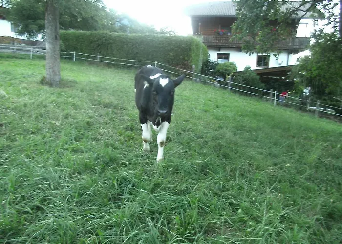 Farm stay Riemenerhof Fuegen