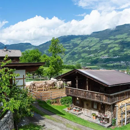 Bauernhof Riemenerhof Fügen