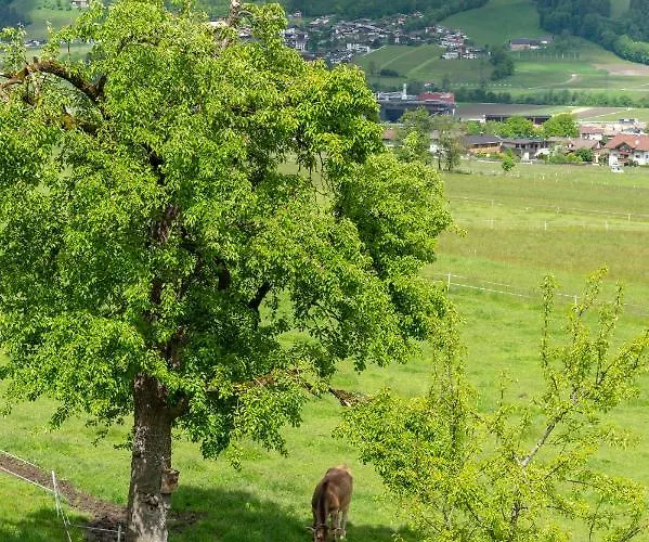 Riemenerhof Bauernhof *