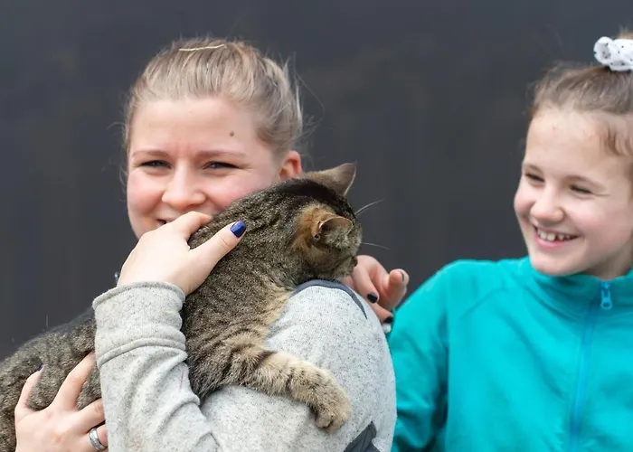 Riemenerhof Bauernhof