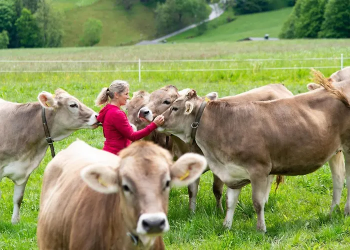 Riemenerhof * Fügen