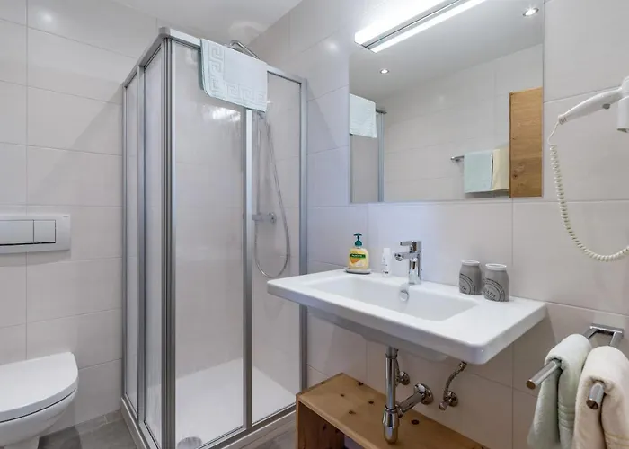 Bauernhof Riemenerhof *