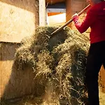 팜스테이 Riemenerhof 푸겐