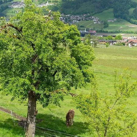 Riemenerhof Lantgård *
