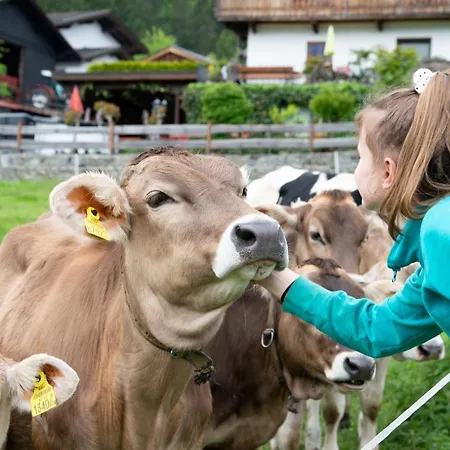 Riemenerhof Çiftlik konaklama Fügen
