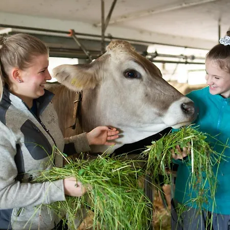 Agroturismo Riemenerhof