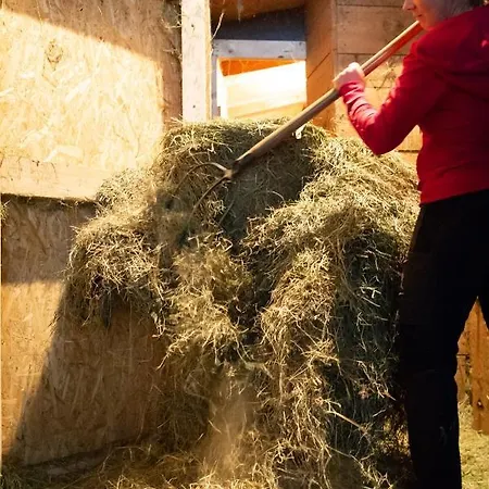 Lantgård Riemenerhof Fügen