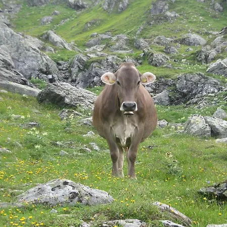 Lantgård Riemenerhof *