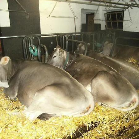 Lantgård Riemenerhof