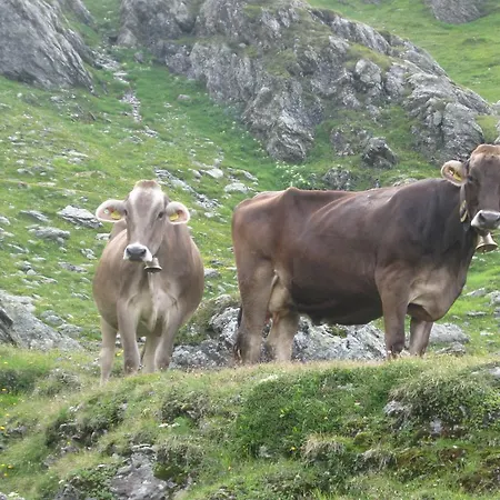 Lantgård Riemenerhof Fügen