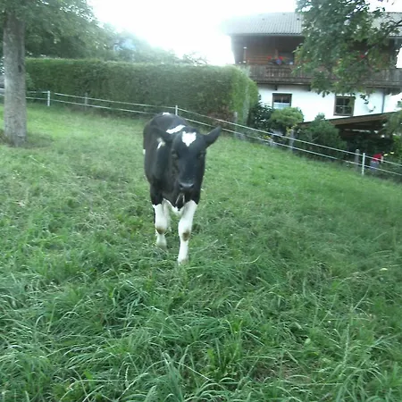 Lantgård Riemenerhof Fügen