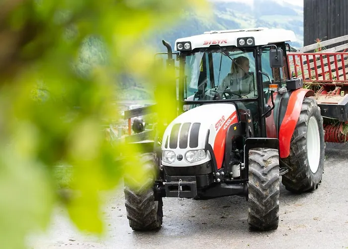 Agroturismo Riemenerhof Fügen