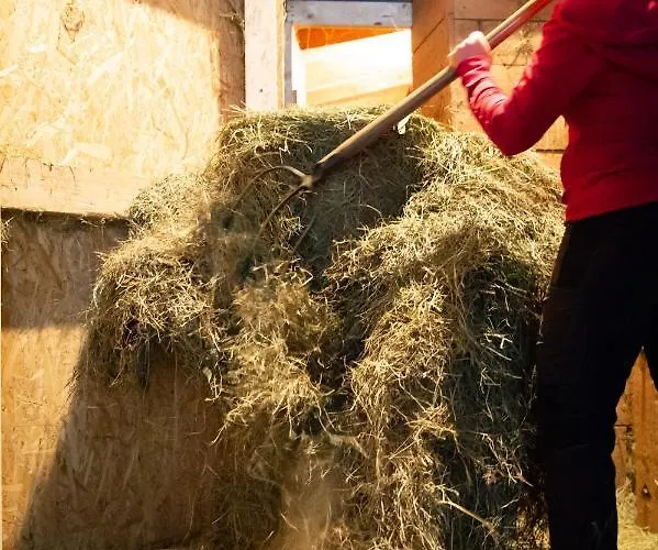 Agroturismo Riemenerhof Fügen