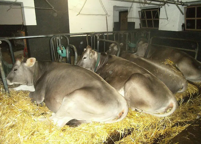 Agroturismo Riemenerhof