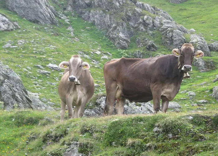 Agroturismo Riemenerhof Fügen